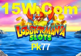 Premium Interface Pk77